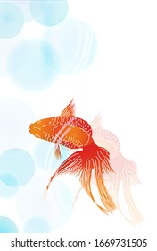 Fondo de verano caliente de peces de oro