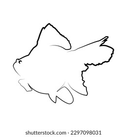 goldfish icon vector illustration design