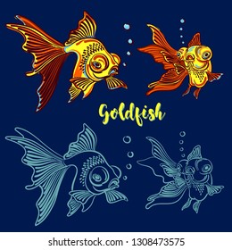Goldfish illustration, drawing sketch hand drawing. color and linear vector fish