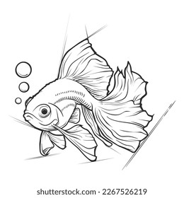 goldfish illustration  hand drawn sketch style