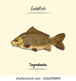 Goldfish Illustration Sketch And Vector Style. Good to use for restaurant menu, Food recipe book and food ingredients content.