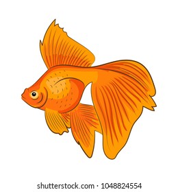 Goldfish isolated on white background. Vector illustration.