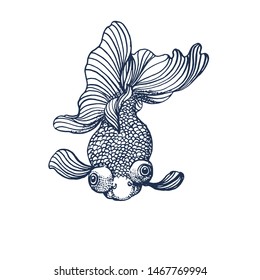 goldfish isolated on white background , vector illustration ,hand drawing