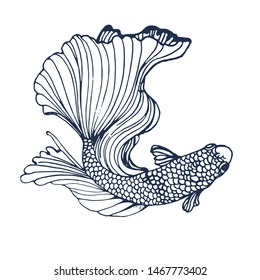 goldfish isolated on white background , vector illustration ,hand drawing