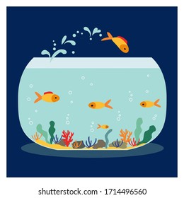 Goldfish jumping out one fishbowl. Aquarium with swimming gold exotic fish. Underwater aquarium habitat with sea plants. Flat vector drawn illustration, isolated objects.