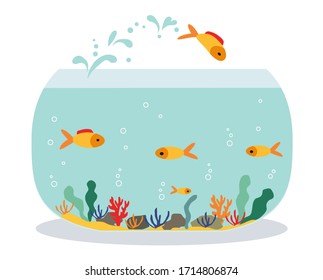Goldfish jumping out one fishbowl. Aquarium with swimming gold exotic fish. Underwater aquarium habitat with sea plants. Flat vector drawn illustration, isolated objects.