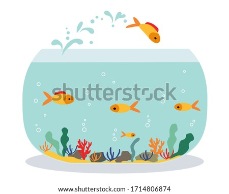Goldfish jumping out one fishbowl. Aquarium with swimming gold exotic fish. Underwater aquarium habitat with sea plants. Flat vector drawn illustration, isolated objects.