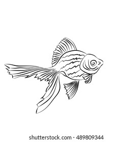 Goldfish - linear pattern. Vector image on white background.