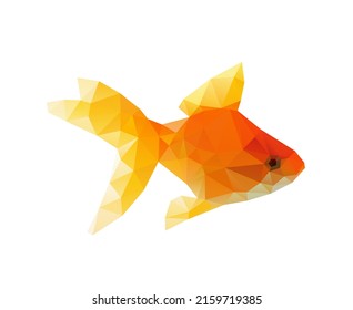 Polígono bajo de pez dorado aislado sobre fondo blanco.  Pescado poligonal, ilustración vectorial geométrica.