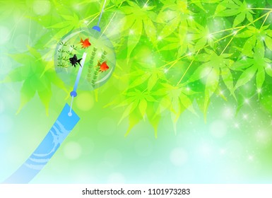 Goldfish Maple in the hot summer background