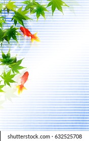 Goldfish Maple Summer Background