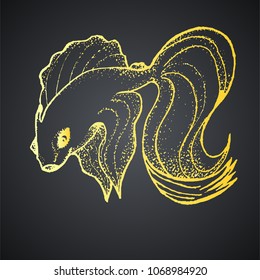 Goldfish on a black background vector engraving
