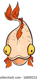 Goldfish or ornamental carp. View from above. Vector freehand drawing