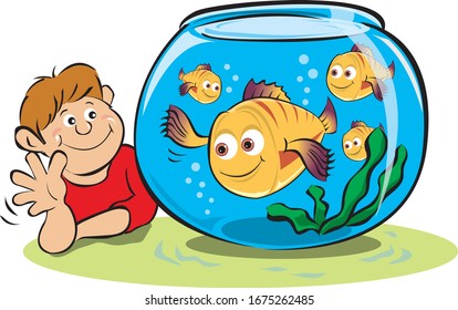 Goldfish owned by a boy