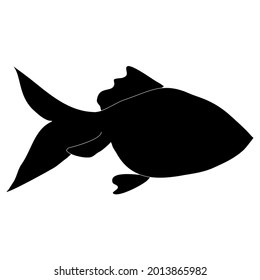 Goldfish sea animal black silhouette outline vector illustration. A part of ocean wildlife.
