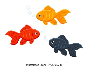 goldfish set, aquarium fish with bubble