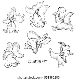 goldfish set, black and white stylized image, vector illustration