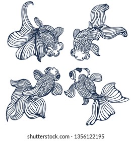 goldfish set ,vector illustration hand drawing ,isolated on white background