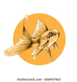 goldfish sketch vector graphics black and white pattern on the background of a yellow circle