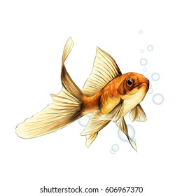 goldfish sketch vector graphics color picture on the background of the air bubbles