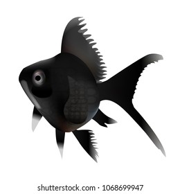 Goldfish Summer Black Icon