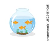 Goldfish swim in fishbowl vector illustration