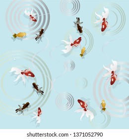Goldfish swimming with a circle of water