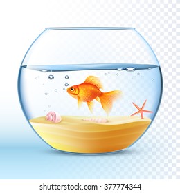 Poisson Rouge Bocal Images Stock Photos Vectors Shutterstock