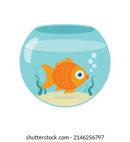 Goldfish swimming in a transparent round glass fishbowl. Fish glass round aquarium on white background. Vector illustration.