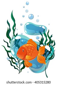 Goldfish swimming under the water illustration