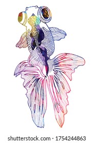 Goldfish telescope. Doodling coloring, meditative coloring. Patterns, dots, stripes. Cute animals.