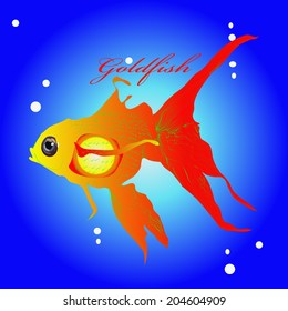Goldfish and text on a blue gradient background.
