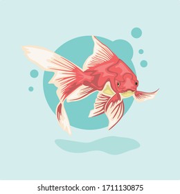 Goldfish used as an illustration