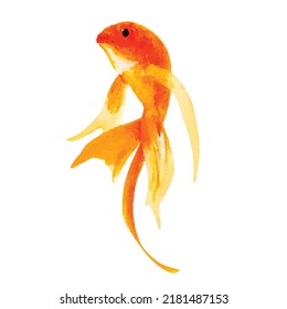 Goldfish vector art Watercolor fish vector illustration Aquarium animals Sea and ocean wildlife Chinese style art Clipart for design logo or decoration