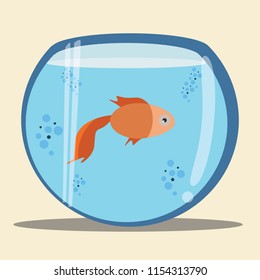 goldfish vector illustration 