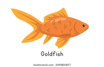 Goldfish vector illustration. Cute goldfish cartoon clipart, animal in flat style. Aquatic animals, underwater creatures, freshwater animals concept. Goldfish vector design isolated on white backgroun