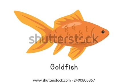 Goldfish vector illustration. Cute goldfish cartoon clipart, animal in flat style. Aquatic animals, underwater creatures, freshwater animals concept. Goldfish vector design isolated on white background