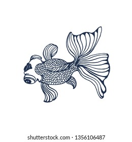 goldfish vector illustration isolated on white background, hand drawing