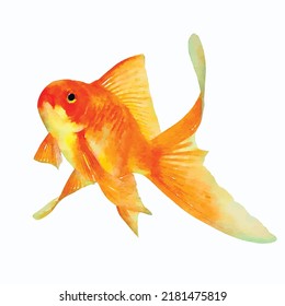 Ilustración vectorial de peces dorados aislada sobre fondo blanco en estilo asiático acuarela de peces dibujado a mano Clipart para tarjetas de felicitación o decoración de diseño de logo