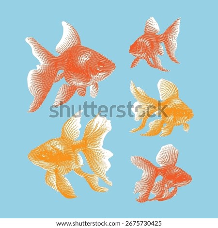Goldfish, goldfish vector, goldfish illustration, line drawing on light blue background.