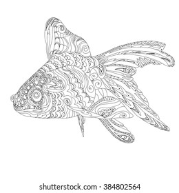 Goldfish vector, zentangle stylized cartoon goldfish, coloring book adult and older children, contour drawing , Aquarium fish, vector illustration