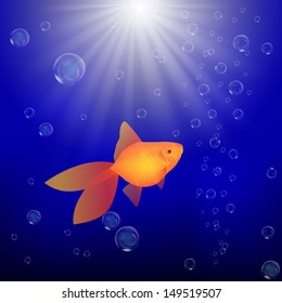 Goldfish in water