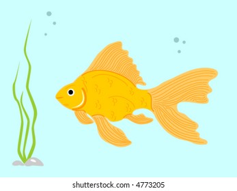 goldfish with water plant