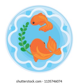 Goldfishs in Aquarium Jar