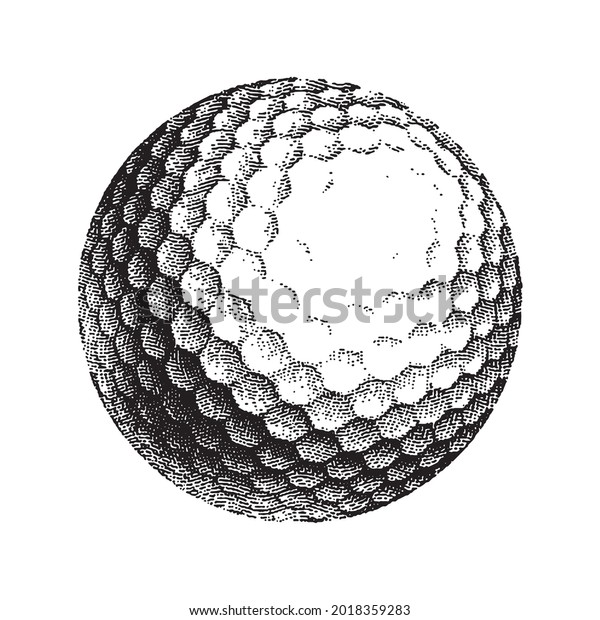 Golf Ball Engraving Vector Stock Vector (Royalty Free) 2018359283