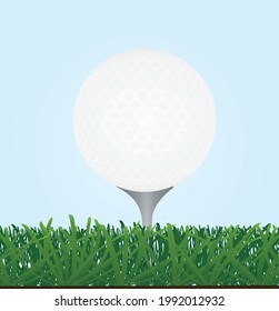 Golf ball in grass. vector