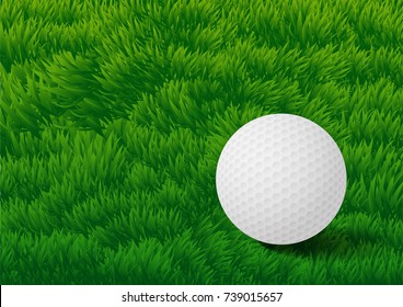 Golf ball on green grass field Background - Vector Realistic Illustration