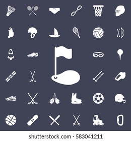 Golf flag icon. Sport set of icons