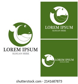 Golf icon and symbol vector template
