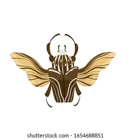 Escarabajo Goliath. Goliathus cacicus ilustración dibujada a mano.